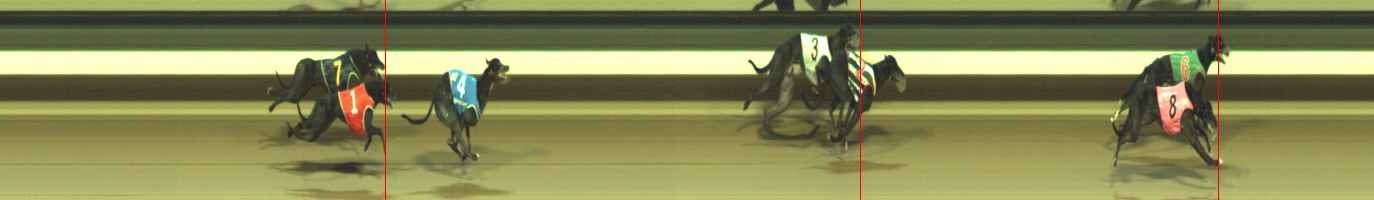 Photo finish for Warragul Race 8