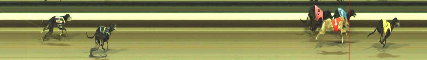 Photo finish for Warragul Race 9