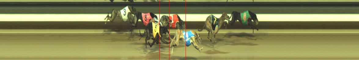 Photo finish for Warragul Race 11
