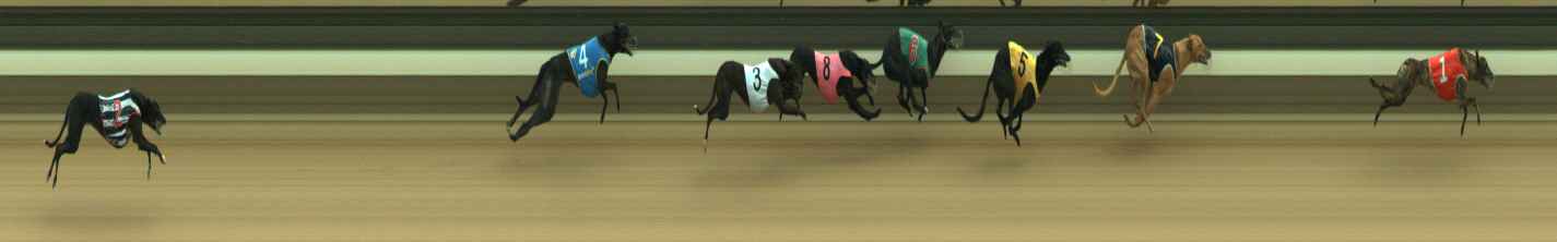 Photo finish for Warragul Race 2
