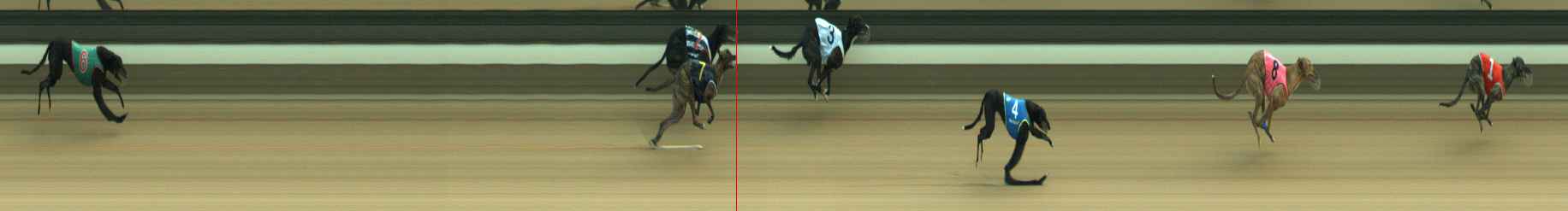 Photo finish for Warragul Race 3