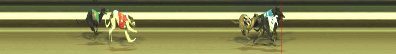 Photo finish for Warragul Race 10