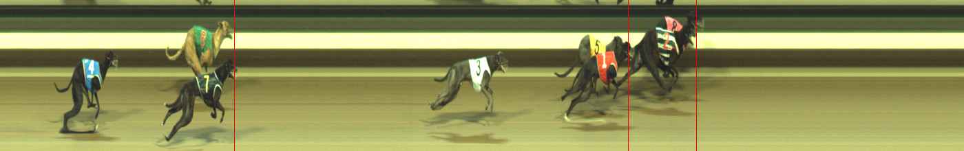 Photo finish for Warragul Race 11
