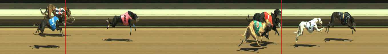 Photo finish for Warragul Race 1