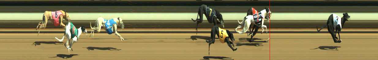 Photo finish for Warragul Race 2