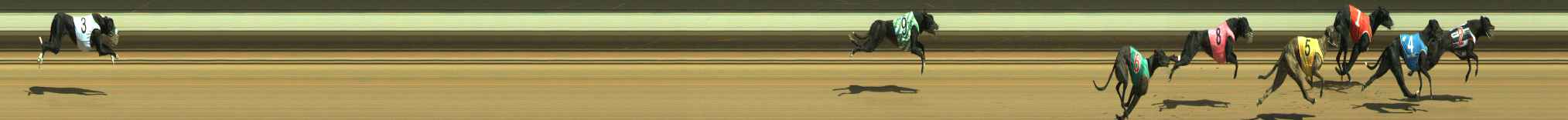 Photo finish for Warragul Race 3