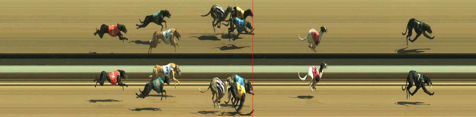 Photo finish for Warragul Race 4