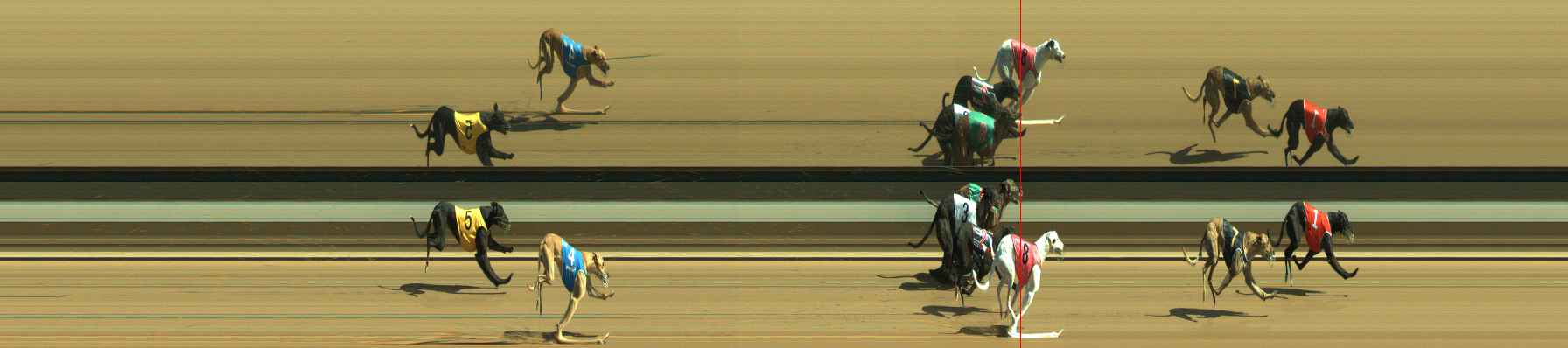 Photo finish for Warragul Race 5