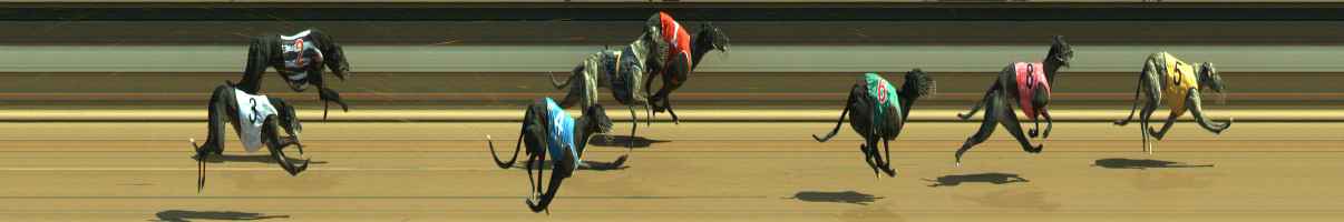Photo finish for Warragul Race 6
