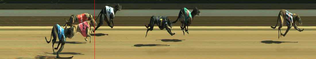 Photo finish for Warragul Race 8