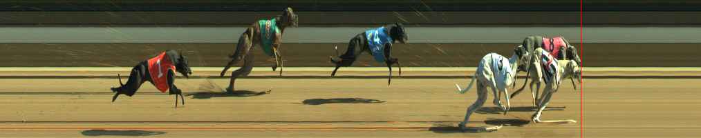 Photo finish for Warragul Race 9