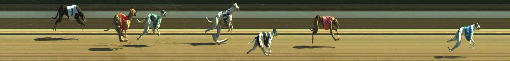 Photo finish for Warragul Race 10