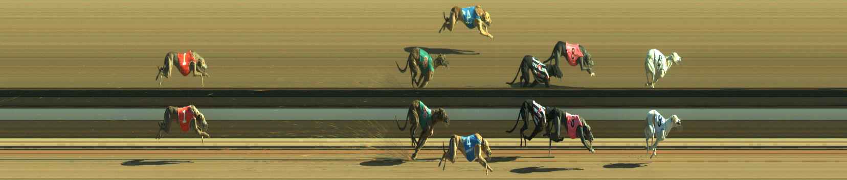 Photo finish for Warragul Race 11