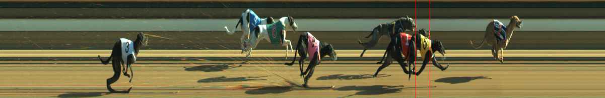 Photo finish for Warragul Race 12