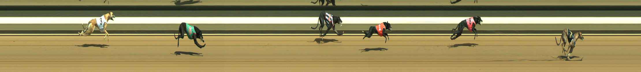 Photo finish for Warragul Race 2