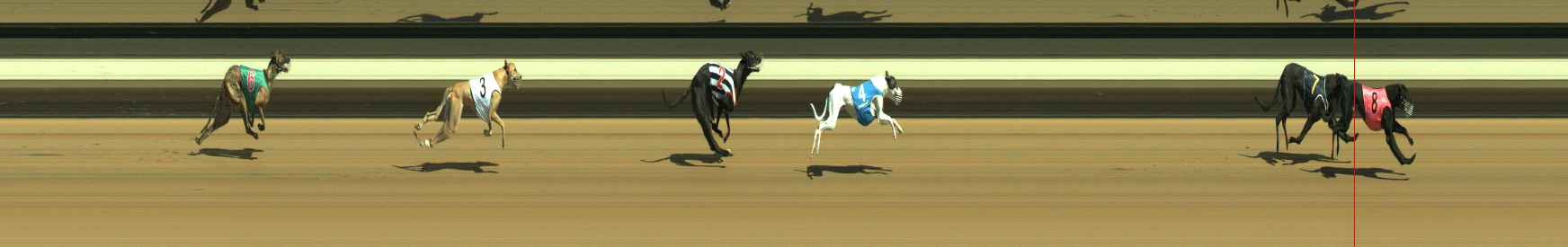 Photo finish for Warragul Race 4