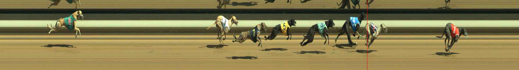Photo finish for Warragul Race 5