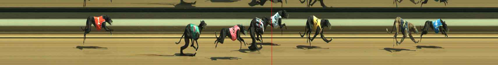 Photo finish for Warragul Race 6