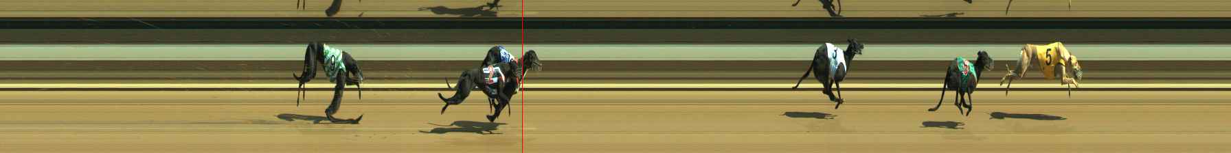 Photo finish for Warragul Race 7