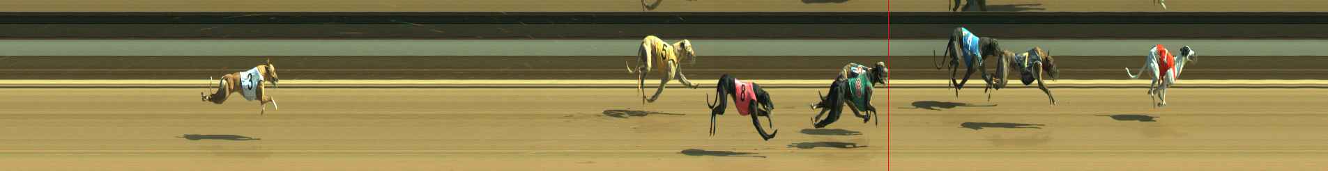 Photo finish for Warragul Race 9