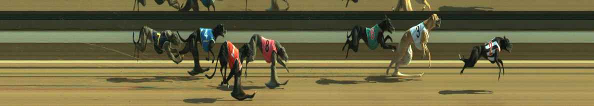 Photo finish for Warragul Race 11
