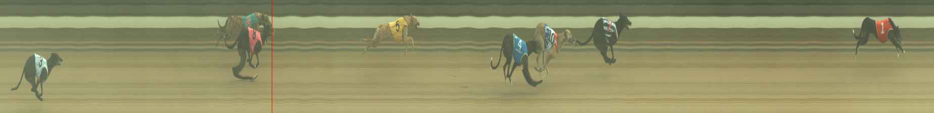 Photo finish for Warragul Race 1