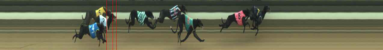 Photo finish for Warragul Race 2