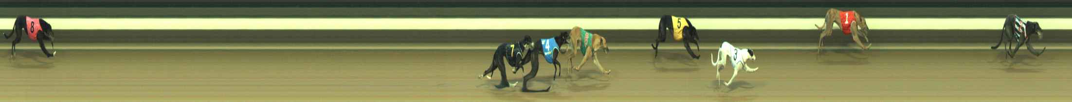 Photo finish for Warragul Race 3