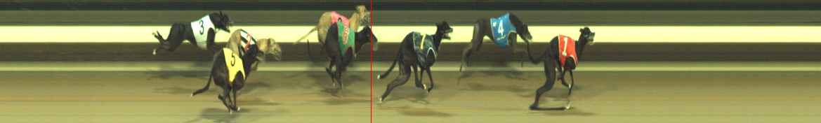 Photo finish for Warragul Race 4