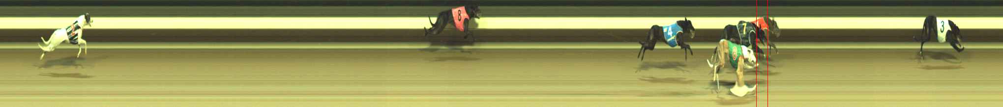 Photo finish for Warragul Race 5