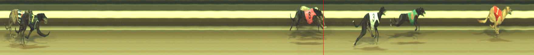 Photo finish for Warragul Race 6