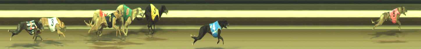 Photo finish for Warragul Race 8