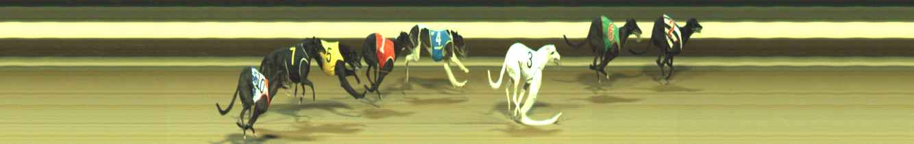 Photo finish for Warragul Race 9