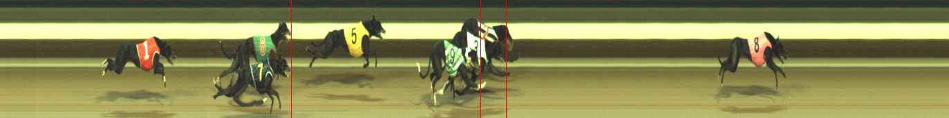 Photo finish for Warragul Race 10