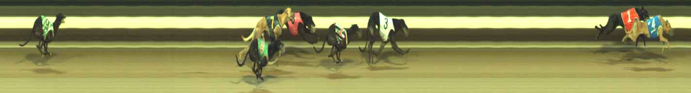Photo finish for Warragul Race 11