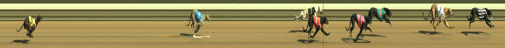 Photo finish for Warragul Race 3