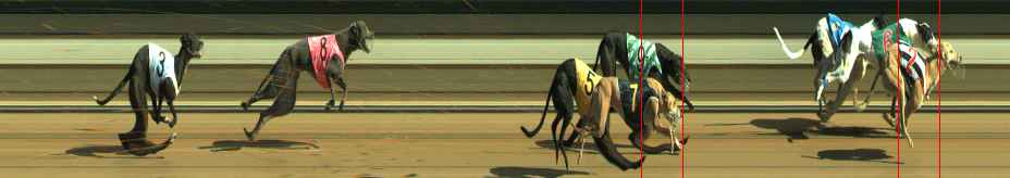 Photo finish for Warragul Race 5