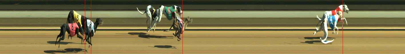 Photo finish for Warragul Race 6