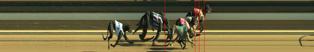 Photo finish for Warragul Race 8