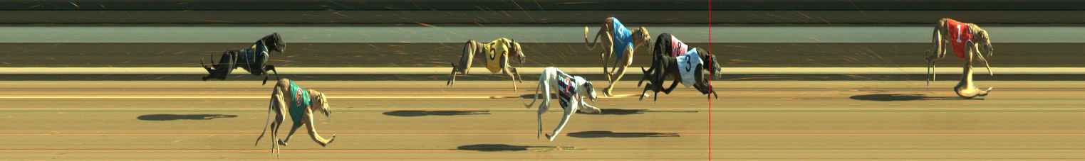Photo finish for Warragul Race 9