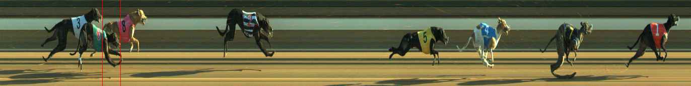 Photo finish for Warragul Race 11