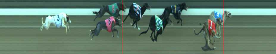 Photo finish for Warragul Race 12
