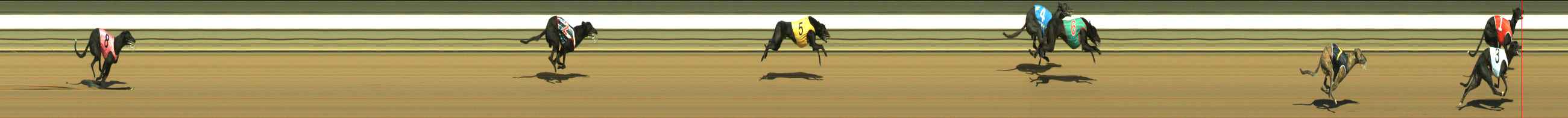 Photo finish for Warragul Race 1