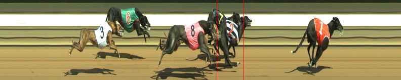 Photo finish for Warragul Race 3