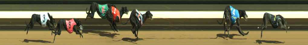 Photo finish for Warragul Race 4