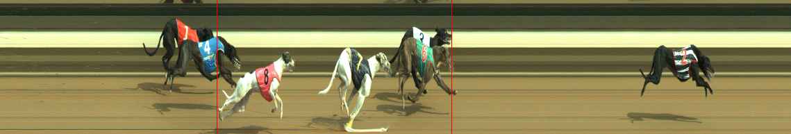 Photo finish for Warragul Race 6