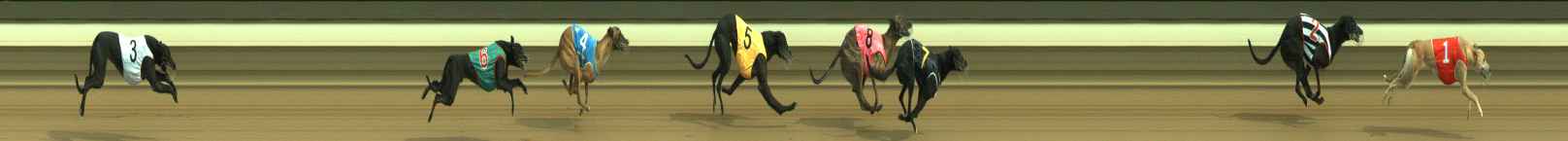 Photo finish for Warragul Race 7