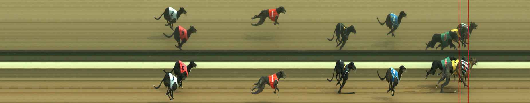 Photo finish for Warragul Race 8