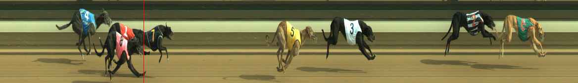 Photo finish for Warragul Race 10