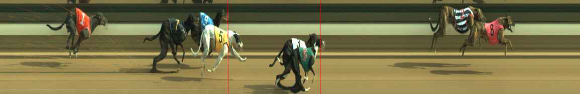 Photo finish for Warragul Race 11